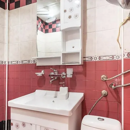 Apartment Homey Near Grand Mall